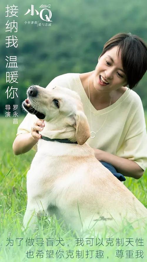 日本山梨英和大学文凭毕业证假的多少钱